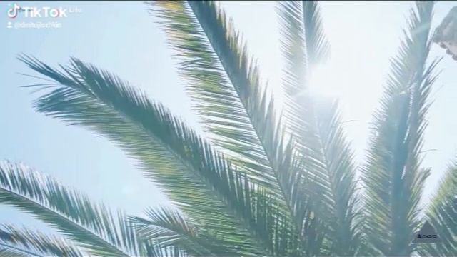 1000051467.mp4