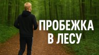 Влог: попытка пробежки с оператором Эдгаром