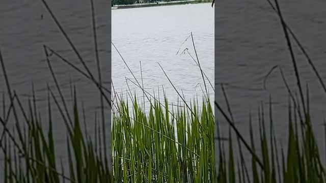 1000012205.mp4