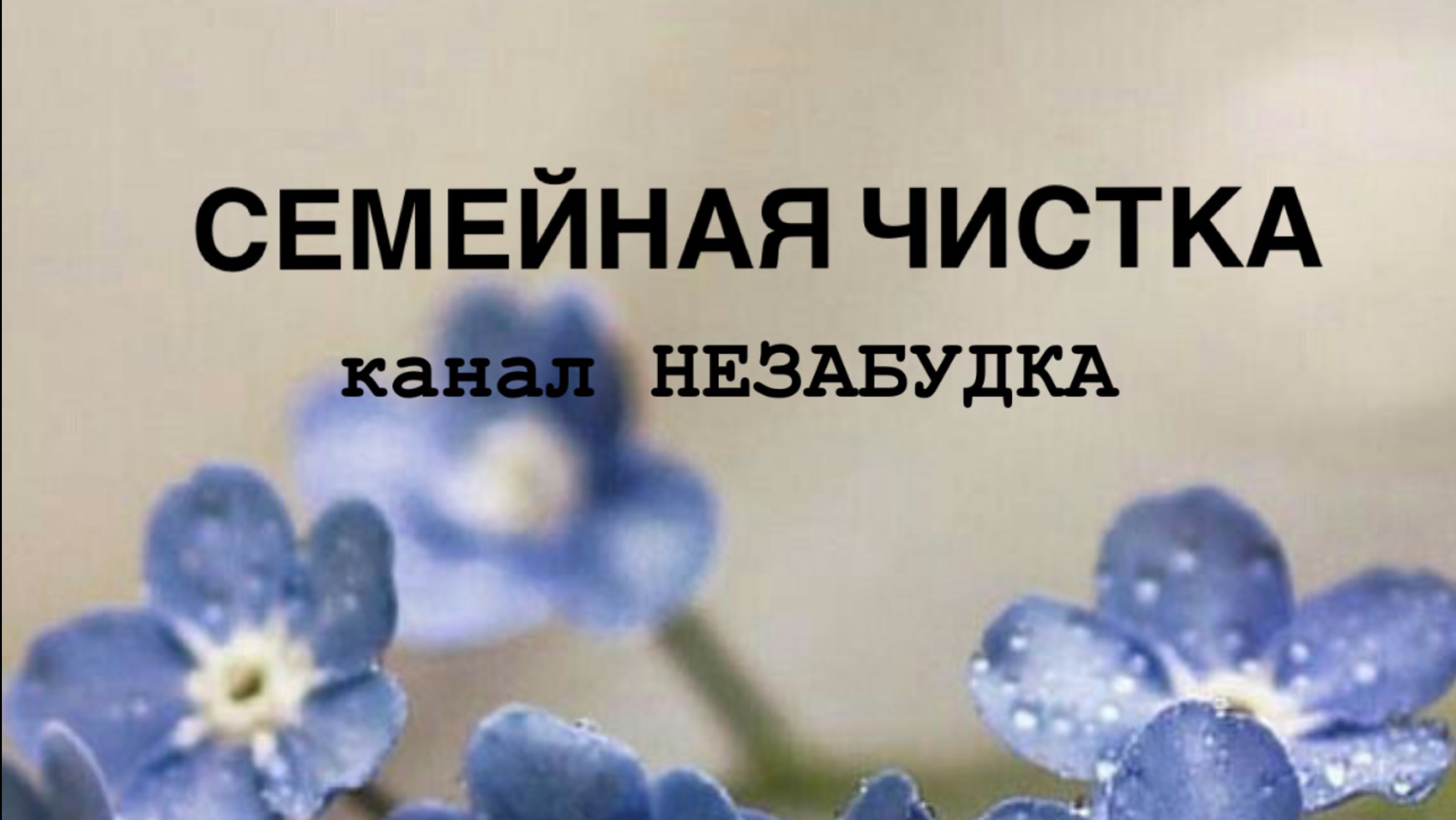 СЕМЕЙНАЯ ЧИСТКА 👩🧑🏼👶🏻