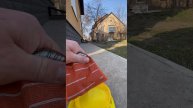 Акция «Василь Кіт» #василькит #коты #котики #котята #ко?