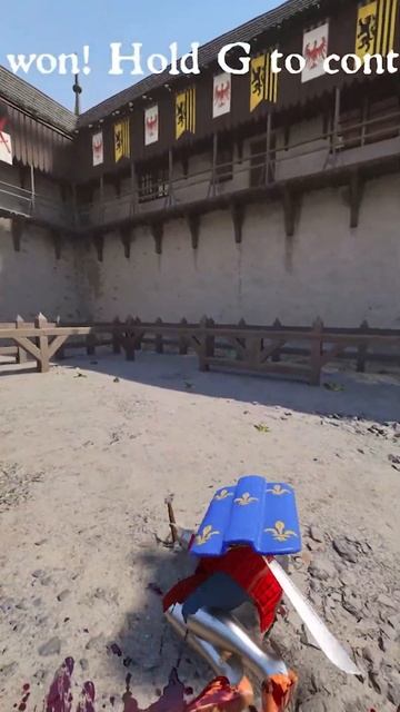 First person fencing #halfsword #history #medieval