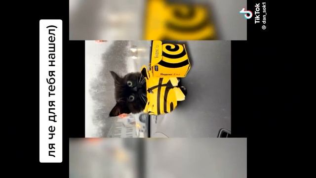 ЛЯ ЧЁ НАШЁЛ
