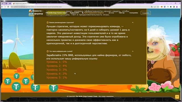 BRIDE DOGE – Децентрализованное приложение // Инвестируй и