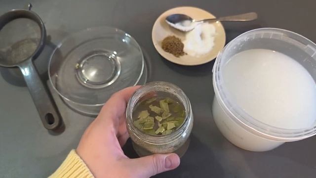 ЧЕМ ПОДКОРМИТЬ СМОРОДИНУ ВЕСНОЙ, ЧТОБЫ БЫЛА КРУПНАЯ ЯГОДА ВЁДРАМИ | СЕКРЕТНАЯ ПОДКОРМКА