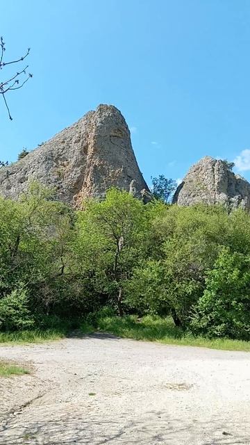 Соловей радует пением в Крыму 🐦
в горах посёлка Курортное ⛰️
