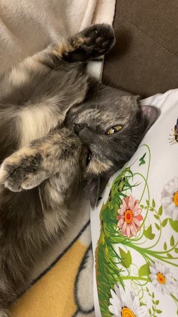 Колыбельная для ЛУны.