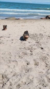 Майские отгуляли, ждём купальный сезон 🙂🌞