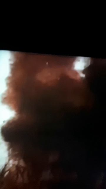 20250120_234713.mp4