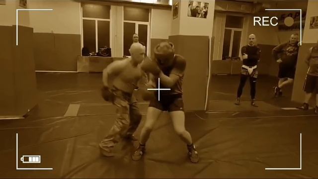 В. Н.  Крючков. САО Стрела