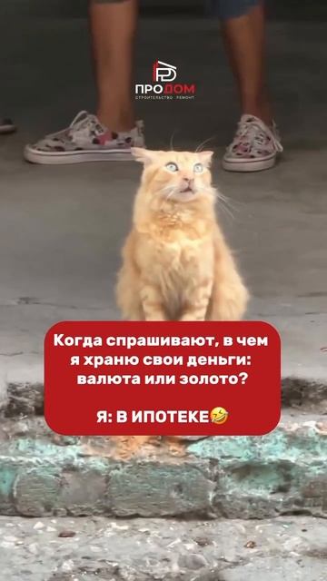 Вот она, финансовая грамотность! #краснодар #строитель