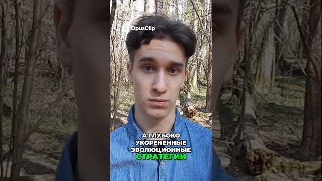 Социобиология: Как муравьи раскрывают тайны человека