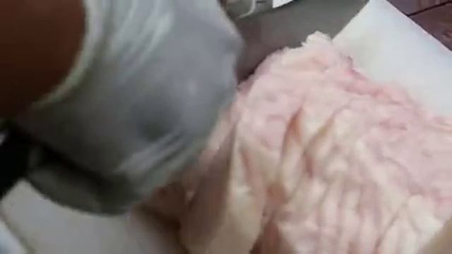 Рыба Аллигатор жареная рыба