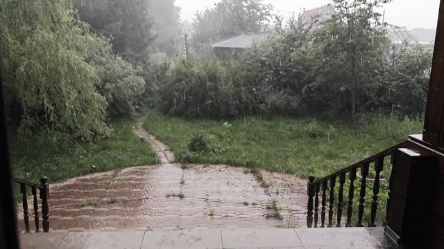 Летний ливень