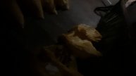 Наталья с Азовстальской благодарит всех неравнодушных в помощи покупки опилок, таких нелбходимых и о