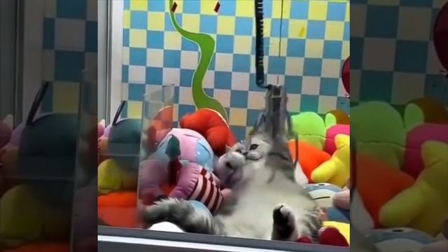 1000039655.mp4