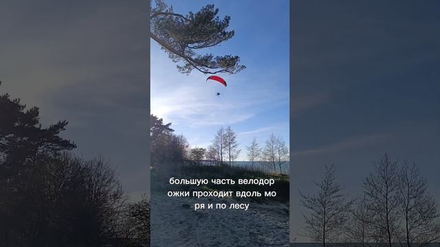 Зеленоградск - Светлогорск. Самая красивая велодорожка