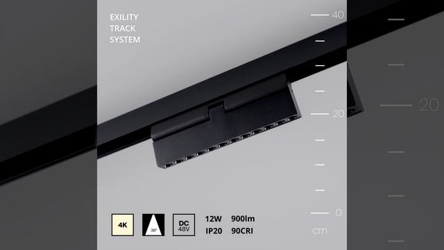 Трековый накладной светильник Maytoni TR033-2-12W4K-B Points rot