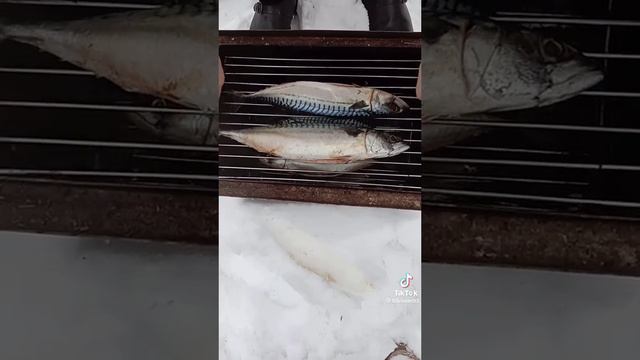 Новогодний Казан кебаб 🔥