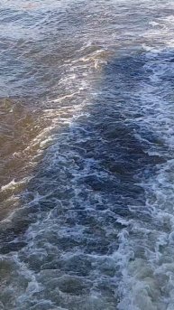 Речная прогулка по Москва-реке ⛴️