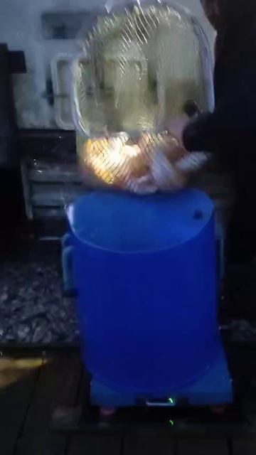 Янтарка.
