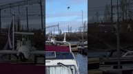 Рыбака в Выборге? А пожалуйста! Декоративными антеннами украшают катера