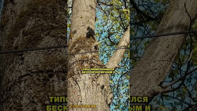 Почему атеисты не верят в Бога? #shorts