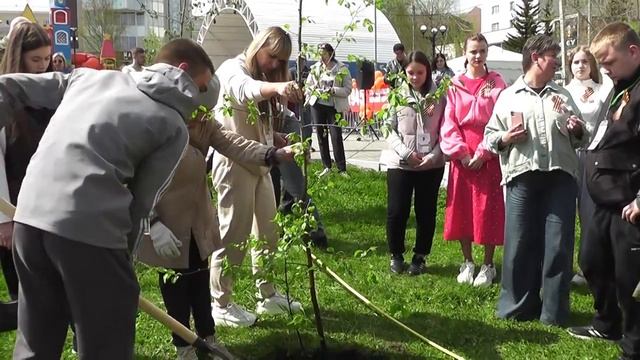 Новая аллея памяти появилась в центре Златоуста