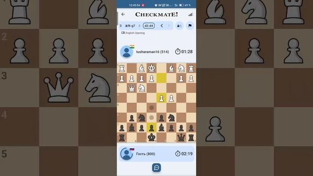Играем в шахматы. Первая партия за 5 лет