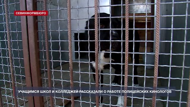 Акцию «Студенческий десант» провели в севастопольско