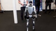 Meet the AI Robots That Can Truly Think Like Humans!