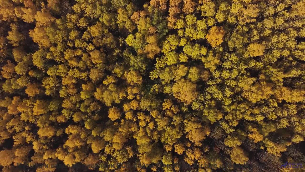 Видео, которое можно понять только с расширенным сознанием - испытайте! - Unwind -- HoliznaCC0 -- Ki