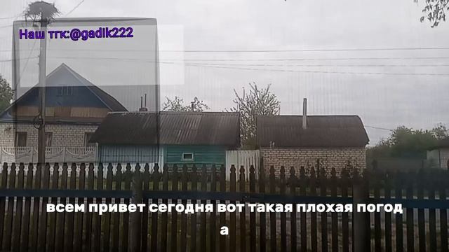 СЕГОДНЯ ПЛОХАЯ ПОГОДКА....
