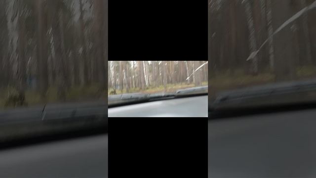 Белоярское водохранилище, отдых.