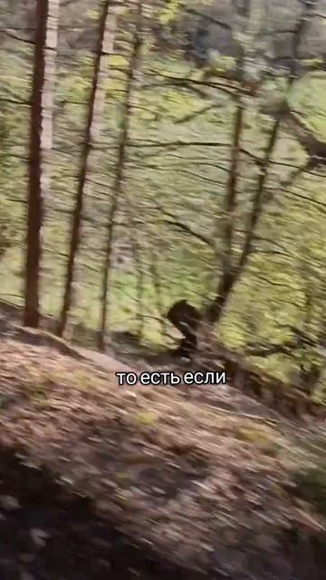 Джон Кехо о программировании удачи