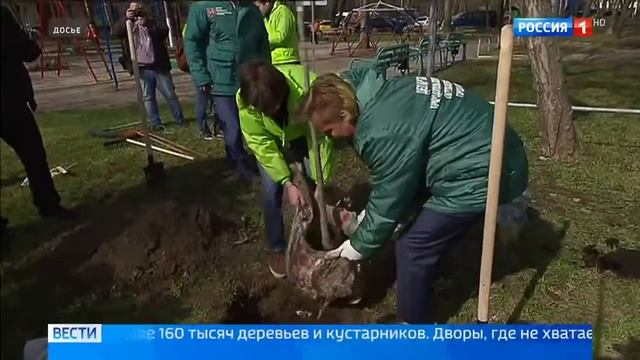 На московских улицах высадят более 160 тысяч деревьев -