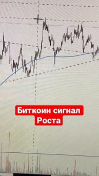Биткоин прогноз роста