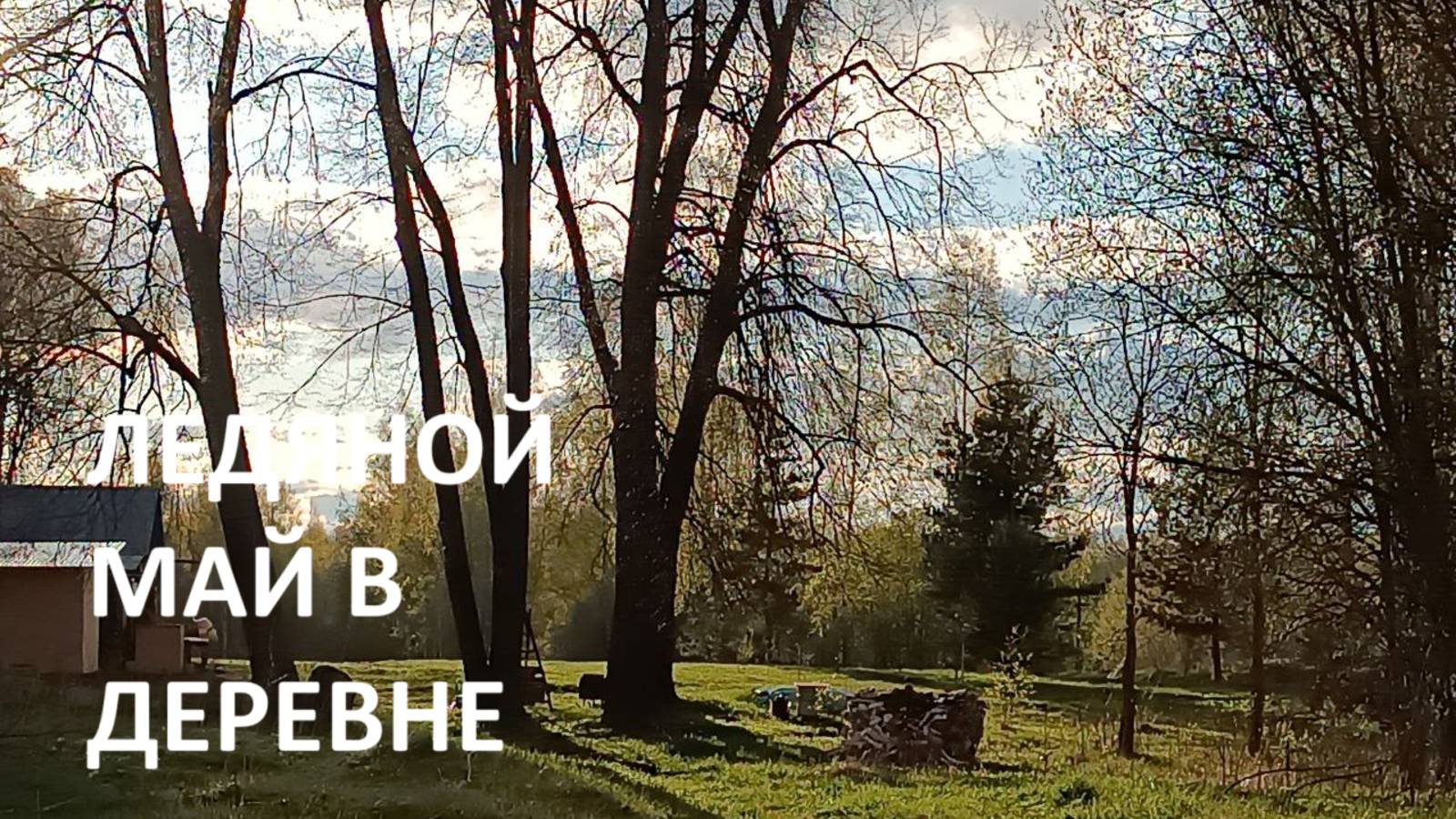 Ледяной май в деревне//борюсь с полезным сорняком//природа//ульи.