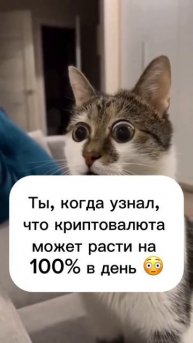 А вы инвестируете в криптовалюту? #финансы #инвестиции