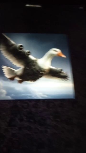 итальянские животные