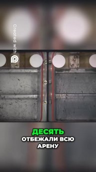 Муравьи в космосе: Странное поведение в невесомости!