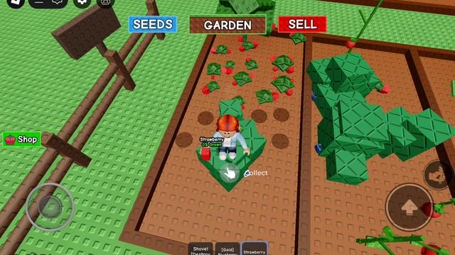 вырастила сад в roblox 2 часть