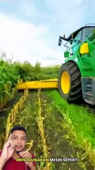 corn plant trimming machine #automobile #machinetools #machineshop