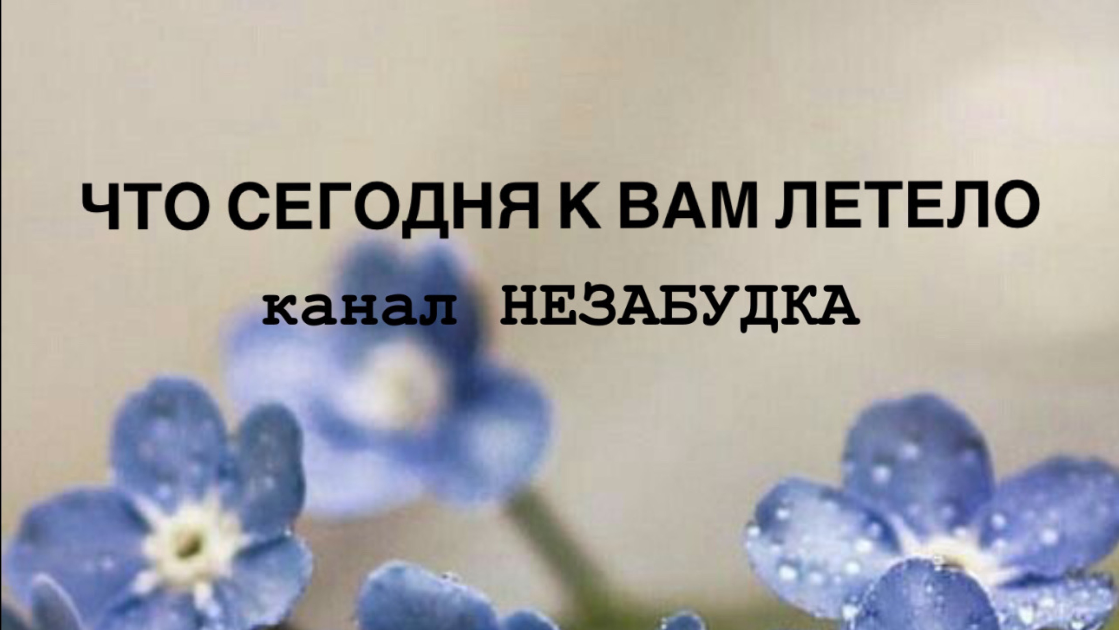 ЧТО СЕГОДНЯ 🥸 К ВАМ ЛЕТЕЛО 🪬🔮
