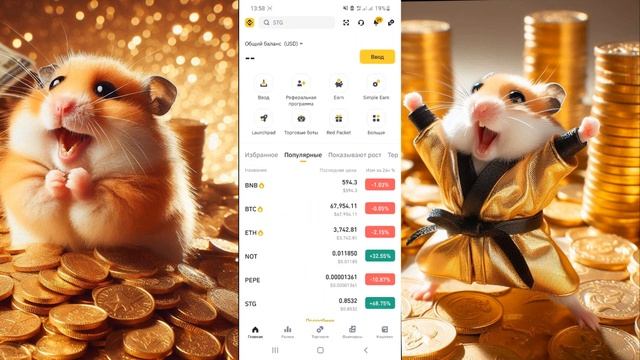 НЕ ВСЕ получат аирдроп Hamster Kombat! Что делать, чтобы получить