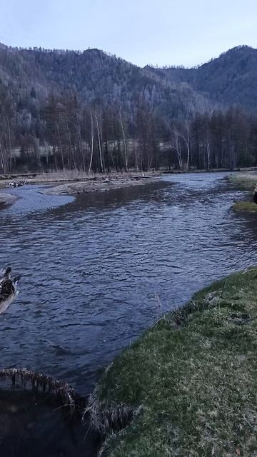 Остановка перед Онгудаем