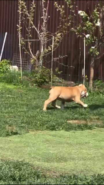 1000159210.mp4