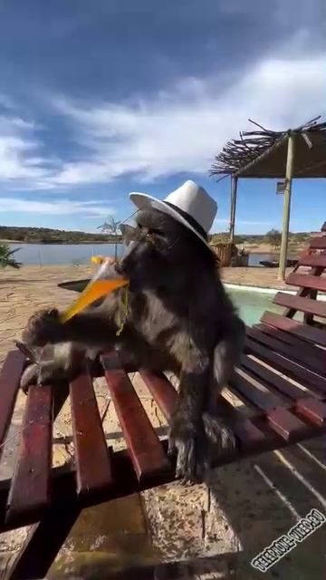 Отдыхающий на пляже