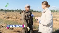 60 тысяч новых саженцев на месте пустыря. В Заиграевско