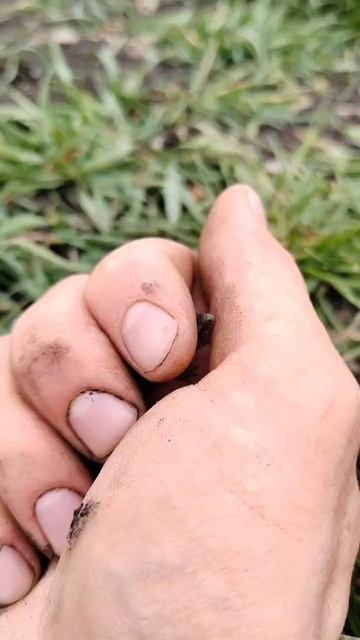 Не спешите. Все самое лучшее происходит медленно, но верно.